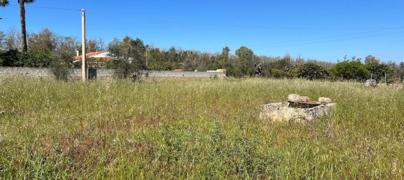 Grundstück in Gallipoli, Italy 3000m², Nr. 234928 5