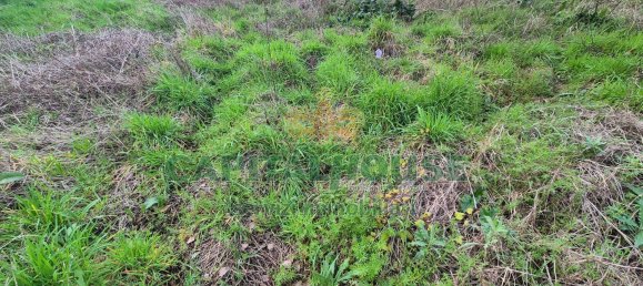 Terrain à Marcianise, Italy 494m² No. 156260 5