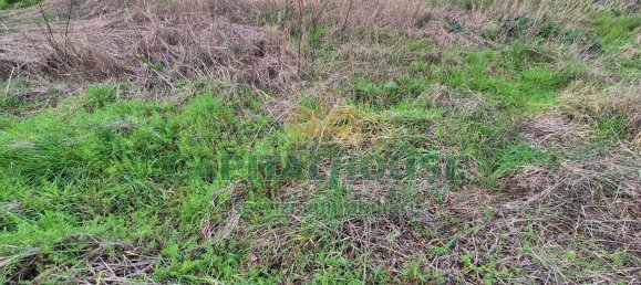 Terrain à Marcianise, Italy 494m² No. 156260 4