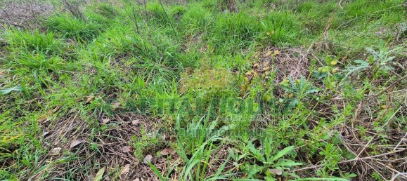 Terrain à Marcianise, Italy 494m² No. 156260 6