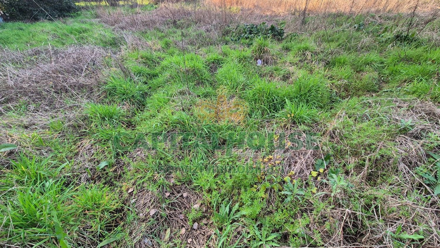 Terrain à Marcianise, Italy 494m² No. 156260