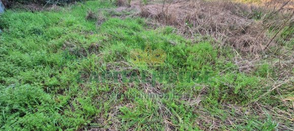 Terrain à Marcianise, Italy 494m² No. 156260 7