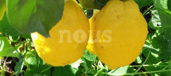 4 Schlafzimmer Villa in Buzanada, Spain, Nr. 13910 9