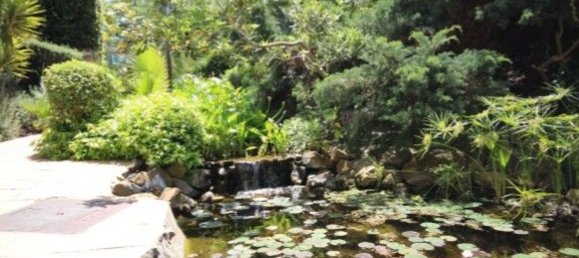 Квартира с 2 спальнями в Михас, Испания № 46397 16