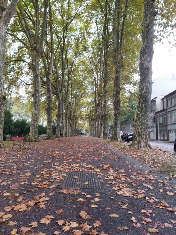 1 bedroom Apartment in Porto, Portugal No. 220329