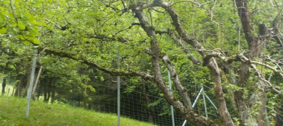 3 Schlafzimmer Haus in Wolfsberg, Austria, Nr. 176845 2