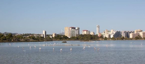 2 bedrooms Bungalow in Calpe, Spain No. 45321 29