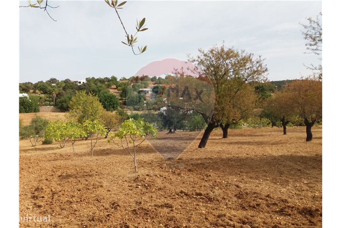 14400m² Land in Faro, Portugal No. 30901