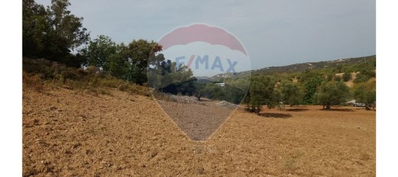 14400m² Land in Faro, Portugal No. 30901 6