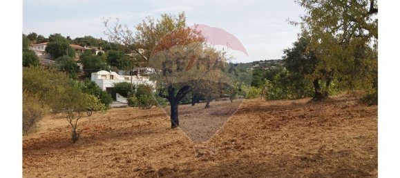 14400m² Land in Faro, Portugal No. 30901 2