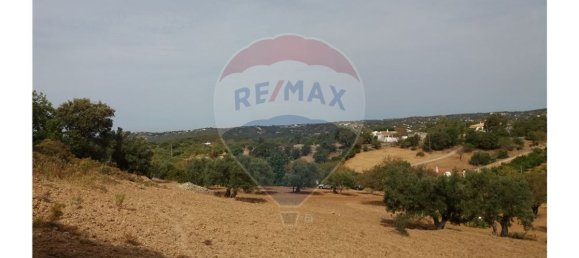 14400m² Land in Faro, Portugal No. 30901 5