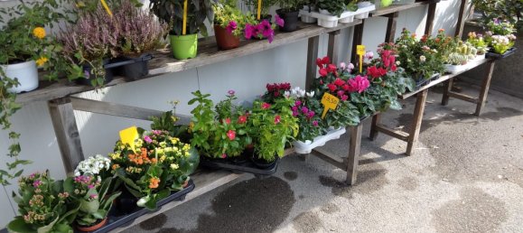 Propriété commerciale à Soriano nel Cimino, Italy 25m² No. 289789 6