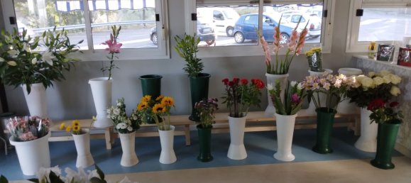 Propriété commerciale à Soriano nel Cimino, Italy 25m² No. 289789 9