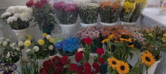 Propriété commerciale à Soriano nel Cimino, Italy 25m² No. 289789 8