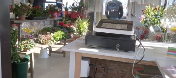 Propriété commerciale à Soriano nel Cimino, Italy 25m² No. 289789 4