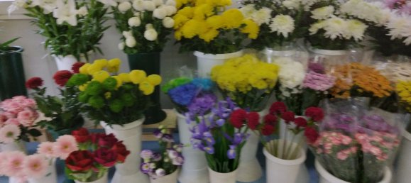 Propriété commerciale à Soriano nel Cimino, Italy 25m² No. 289789 7