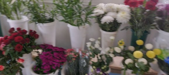 Propriété commerciale à Soriano nel Cimino, Italy 25m² No. 289789 2