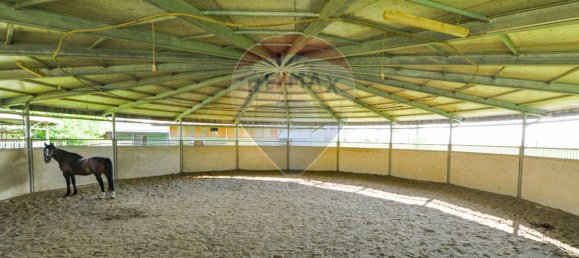 30 rooms House in Stagno Lombardo, Italy No. 371643 48