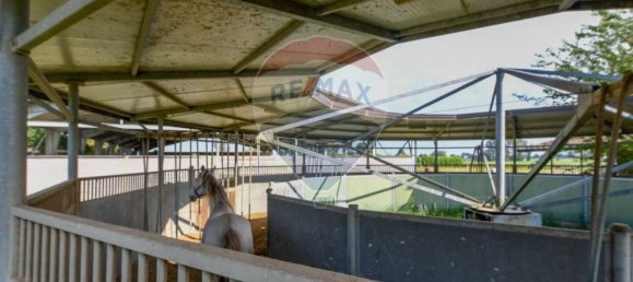 30 rooms House in Stagno Lombardo, Italy No. 371643 49