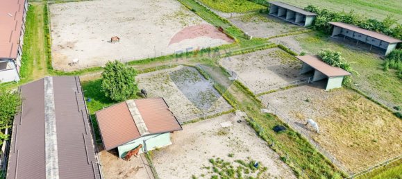 30 rooms House in Stagno Lombardo, Italy No. 371643 6