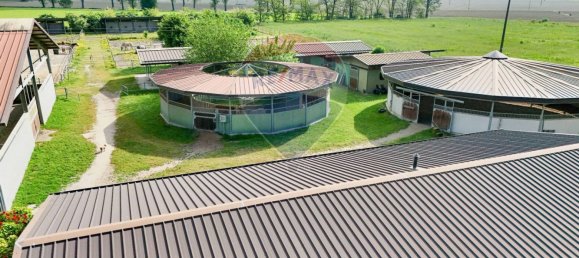 30 rooms House in Stagno Lombardo, Italy No. 371643 26