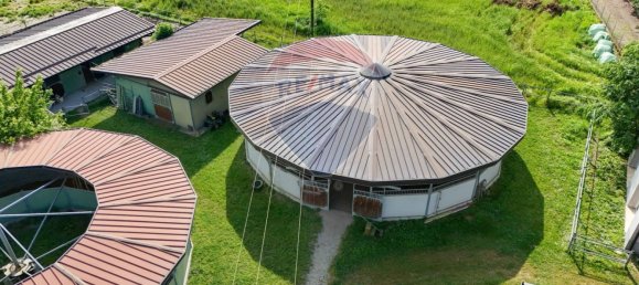 30 rooms House in Stagno Lombardo, Italy No. 371643 36