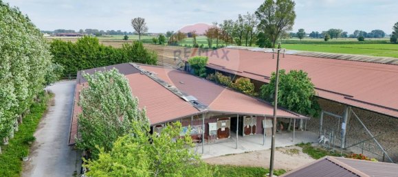 30 rooms House in Stagno Lombardo, Italy No. 371643 3