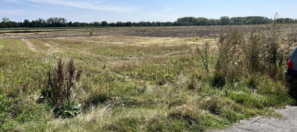  قطعة أرض في Phalempin, France رقم 250312 2