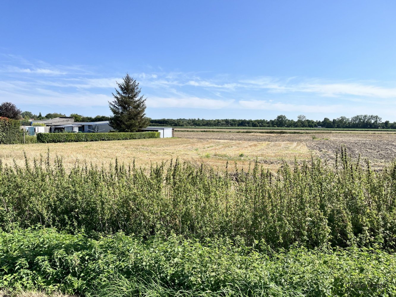  قطعة أرض في Phalempin, France رقم 250312