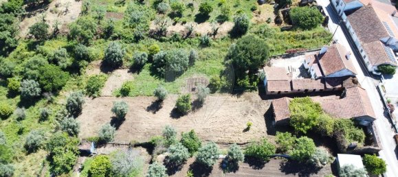 4 bedrooms House in Tomar, Portugal No. 20429 2