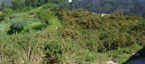  Land in Marco de Canaveses, Portugal No. 61841 3