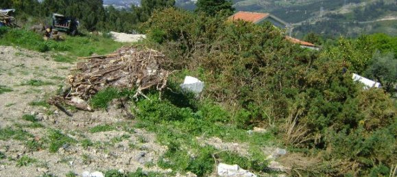  Land in Marco de Canaveses, Portugal No. 61841 2