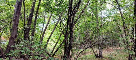 Villa de 10 habitaciónes en Trieste, Italy No. 258070 24