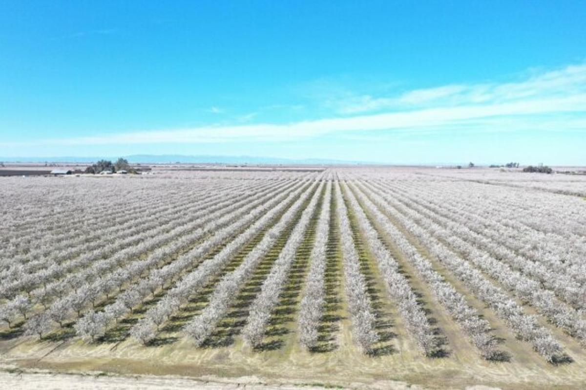 Земельный участок в Карутерс, США № 475527