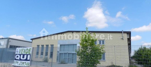 5 rooms Warehouse in Codogno, Italy No. 87345 2