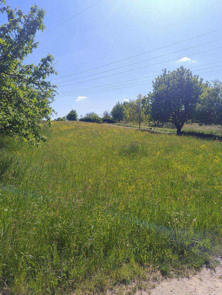  قطعة أرض في Rems-Murr-Kreis, Germany رقم 225302