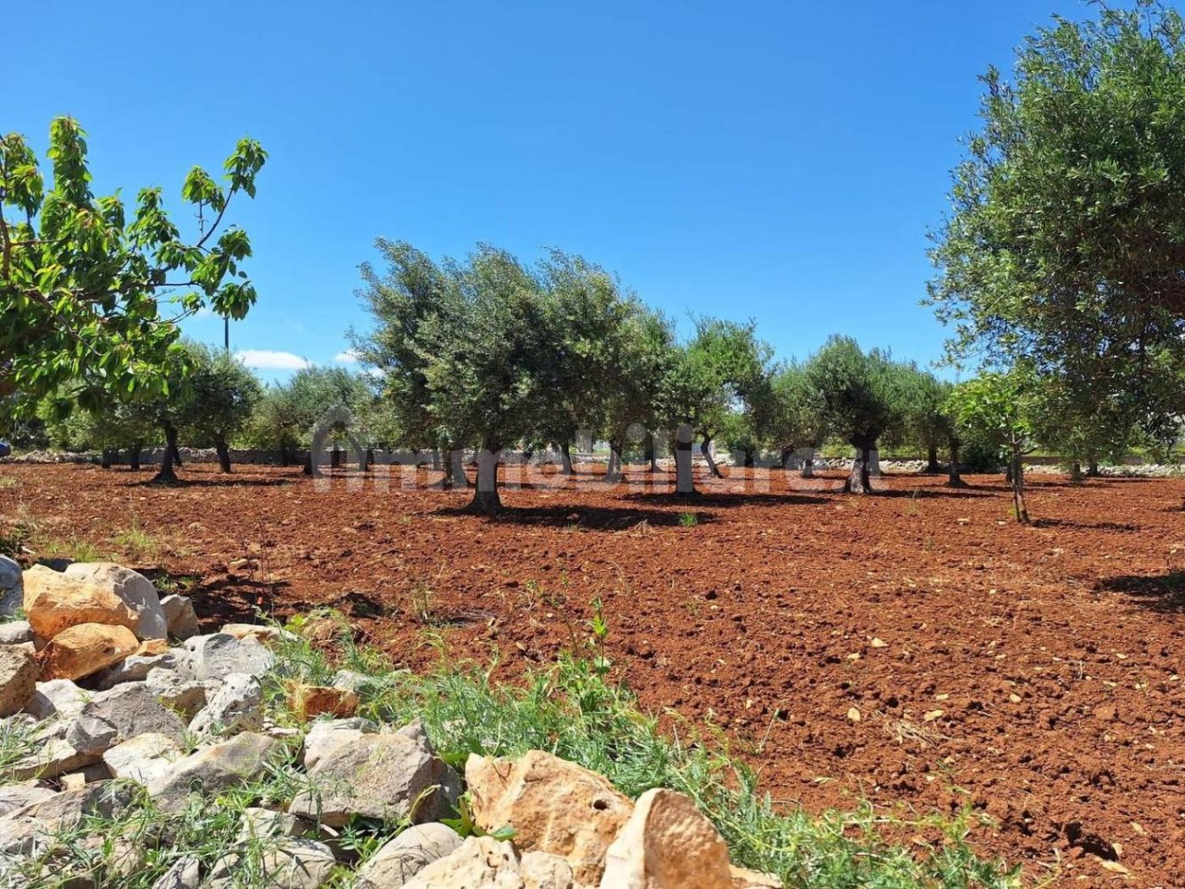 Terreno en Polignano a Mare, Italy 4848 m² No. 322043