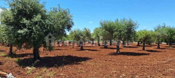 Terreno en Polignano a Mare, Italy 4848 m² No. 322043 4