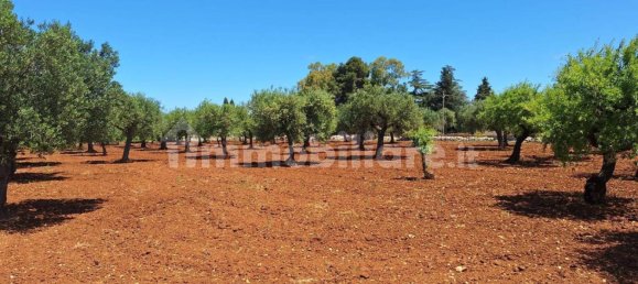Terreno en Polignano a Mare, Italy 4848 m² No. 322043 8