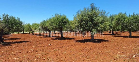 Terreno en Polignano a Mare, Italy 4848 m² No. 322043 6