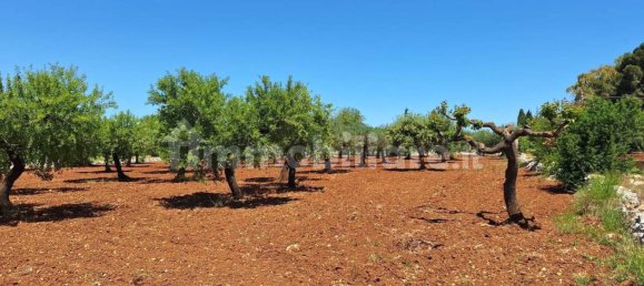 Terreno en Polignano a Mare, Italy 4848 m² No. 322043 2