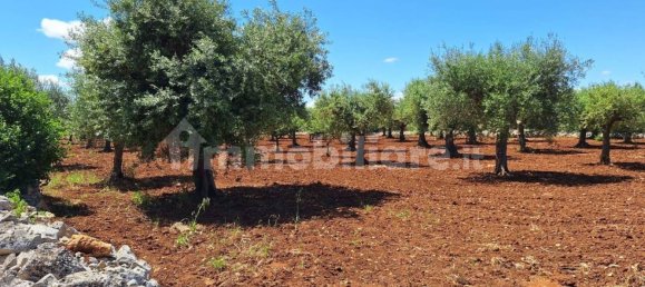 Terreno en Polignano a Mare, Italy 4848 m² No. 322043 3