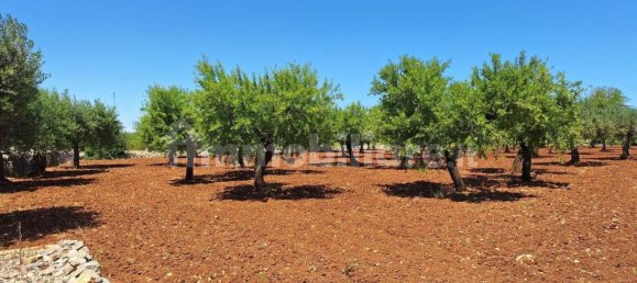 Terreno en Polignano a Mare, Italy 4848 m² No. 322043 5