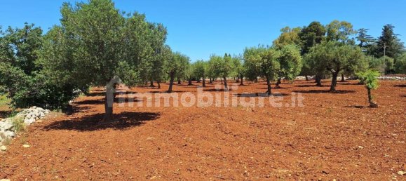 Terreno en Polignano a Mare, Italy 4848 m² No. 322043 9