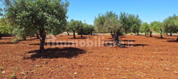 Terreno en Polignano a Mare, Italy 4848 m² No. 322043 7