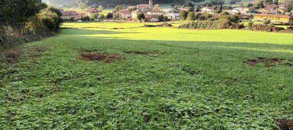 Grundstück in Cantabria, Spain, Nr. 184607 3