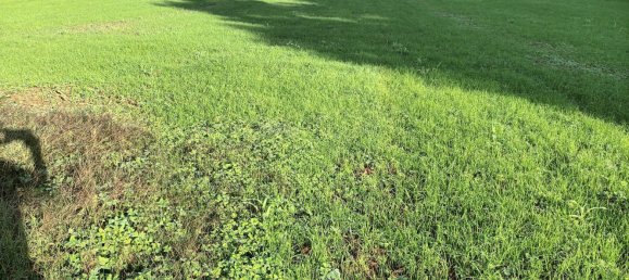 Grundstück in Cantabria, Spain, Nr. 184607 6