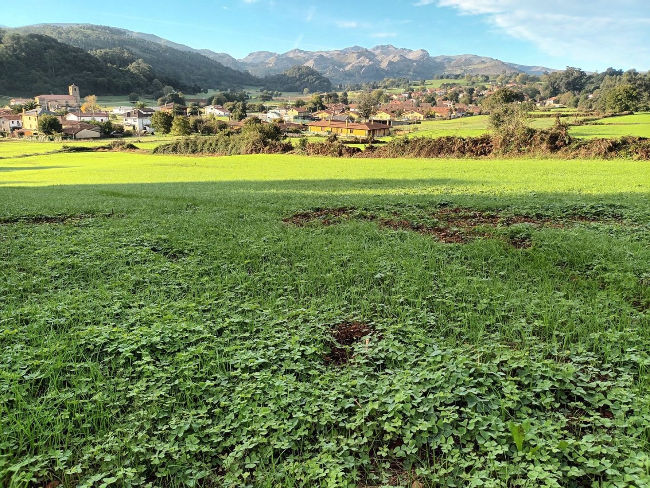 Grundstück in Cantabria, Spain, Nr. 184607