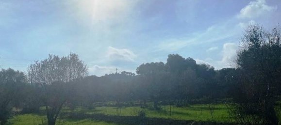 Studio in Ostuni, Italy, Nr. 149443 6