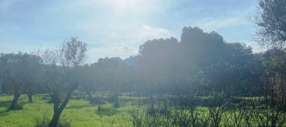 Studio in Ostuni, Italy, Nr. 149443 5